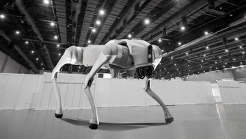 2026年のワールドカップではロボット犬が警備を担当