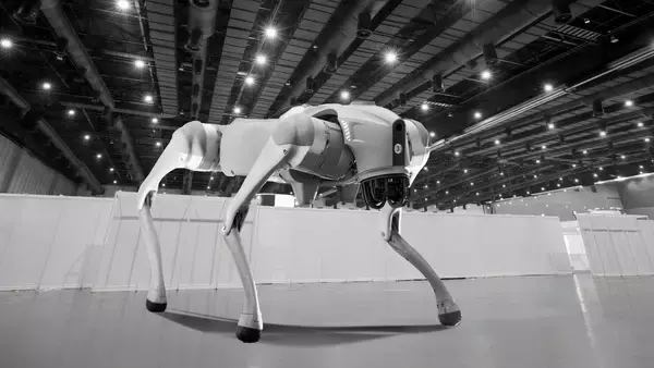 2026年のワールドカップではロボット犬が警備を担当
