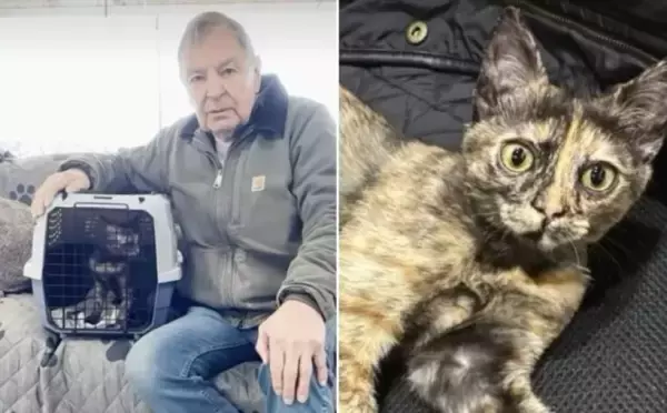 中東でアメリカ兵士に救われた子猫、海を渡って退役軍人を幸せに