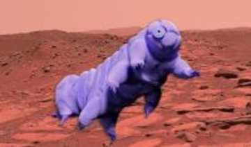 クマムシを火星で生き延びさせる方法を発見。地表の水洗浄が鍵に