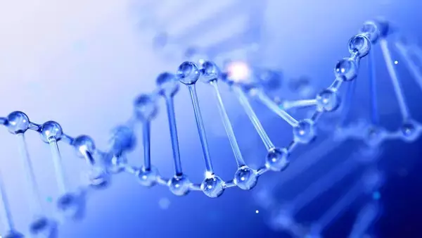 DNAをたった1か所変えたら、メスのマウスがオスになった