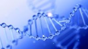 DNAをたった1か所変えたら、メスのマウスがオスになった