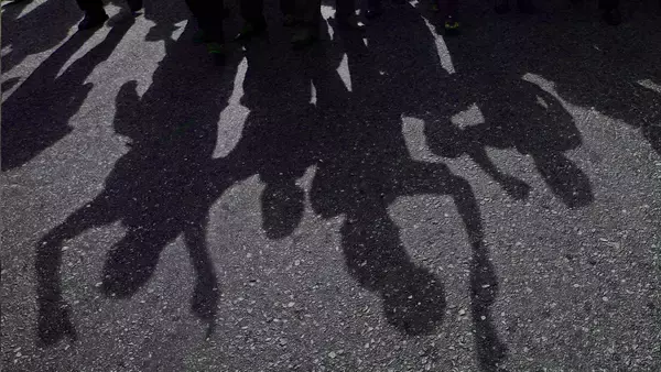 暴力は人間の本能に根付いたものなのか？攻撃の度合いによって別々に進化した可能性