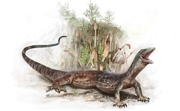 半分トカゲで半分ヘビ。猫ほどの大きさのジュラ紀の奇妙な爬虫類が発見される