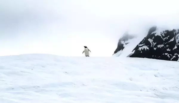 南極には「重力穴」がある。3000万年前に急成長した謎を解明