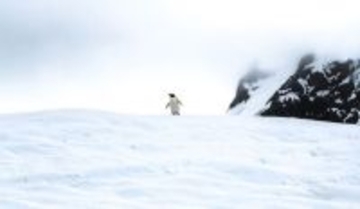 南極には「重力穴」がある。3000万年前に急成長した謎を解明