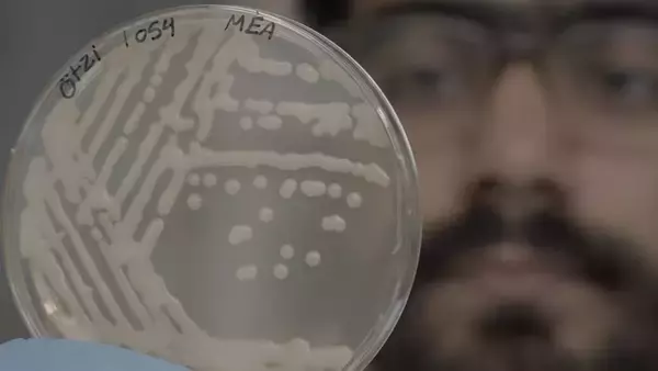 ミイラ「アイスマン」から生きた酵母が発見され、パンを焼くことに成功