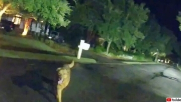 パトカーを止め、負傷したおばあさんの元に保安官を導いたのは息子の飼い犬だった