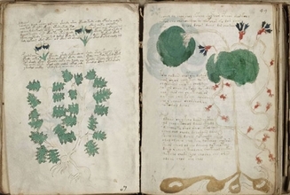 謎めいたヴォイニッチ手稿の文字列は、中世のカードゲームから生まれた暗号かもしれない