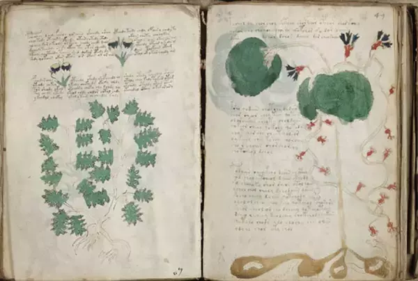 謎めいたヴォイニッチ手稿の文字列は、中世のカードゲームから生まれた暗号かもしれない