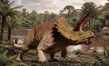 トリケラトプスの鼻は脳を冷やす機能を持っていた。東京大学が構造を解明