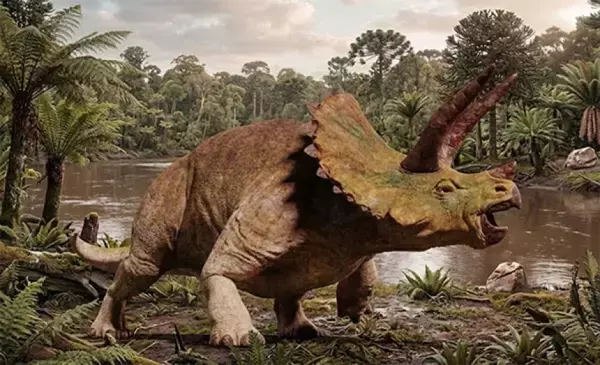 トリケラトプスの鼻は脳を冷やす機能を持っていた。東京大学が構造を解明