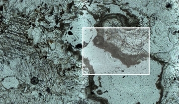 未知の古代生命体が岩を掘った痕跡を発見　砂漠で見つかった謎のトンネル