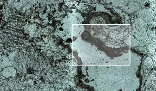 未知の古代生命体が岩を掘った痕跡を発見　砂漠で見つかった謎のトンネル