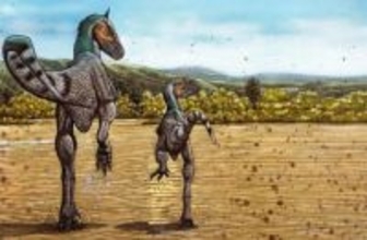 白亜紀最速の恐竜が発見される。1億2000万年前の足跡から判明