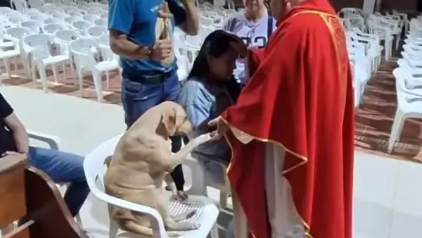 司祭に救われた犬が祈りの儀式に自ら参加。前脚を差し出し一緒に祈る