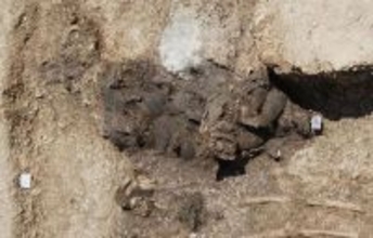 プリニウスの著書に登場する「服を輝かせる魔法の土」の正体を特定