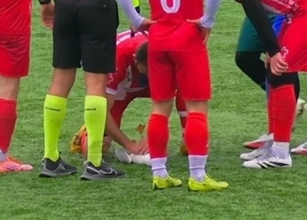 サッカーボールと激突したカモメ、試合は一時中断、選手が心肺蘇生を施し息を吹き返す