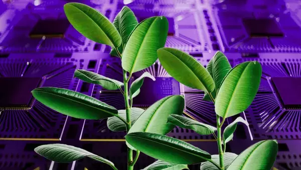 生きた細菌を「トランジスタ」に見立てた生体回路を開発、植物への応用を目指す