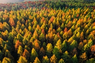 砂漠化を防ぐ780億本の植林が逆に水不足を招く皮肉な結果に。その理由とは？