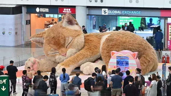 こいつ、動くぞ！香港の空港に現れた巨大猫が多く人々の足を止める
