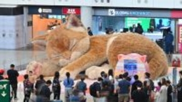 こいつ、動くぞ！香港の空港に現れた巨大猫が多く人々の足を止める