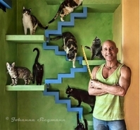 まさに猫の楽園。20匹の保護猫のための完璧な家を作り上げた男性