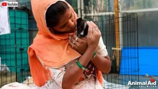 Animal Aid～身体が氷のように冷たい！意識を失いかけている子犬を救うには、時間との戦いが必要だった