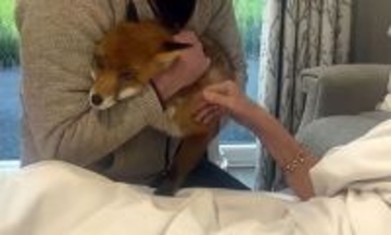 「最期にキツネに触れたい」死を目前にした男性の人生最大の願いが叶う時