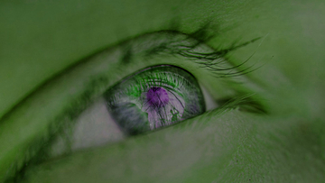 我々の目の起源は6億年前のミミズの頭のてっぺんにあった1つの目だとする研究