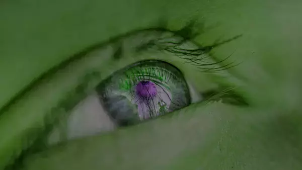 我々の目の起源は6億年前のミミズの頭のてっぺんにあった1つの目だとする研究