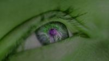 我々の目の起源は6億年前のミミズの頭のてっぺんにあった1つの目だとする研究