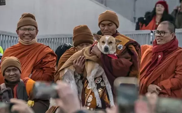 僧侶たちと犬、3700kmの祈りの旅がついに完結。ワシントンを平和と慈悲で満たす