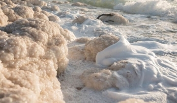 死海に降り積もる塩の雪が築いた白い巨塔を発見、科学者たちも驚愕