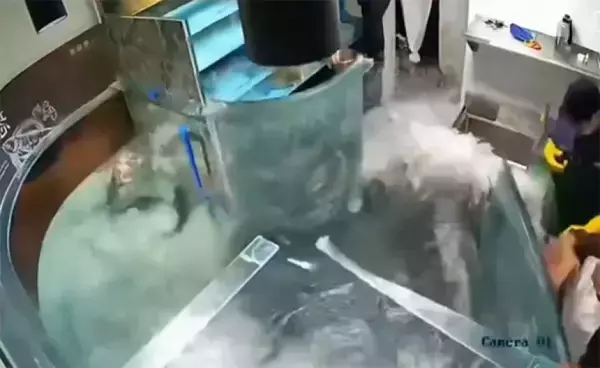 中国のレストランで魚の入った水槽が爆発