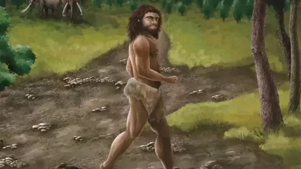 デニソワ人の身長は約190cm。最終氷期で最大級の人類だった可能性