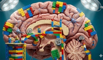 AIより人間の脳が優れている理由。「思考のブロック」を組み替え学習する柔軟力