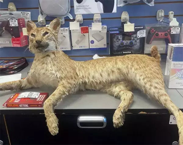 珍品8万点が殺到！米ゲーム店が開催した「何でも下取りの日」が話題に