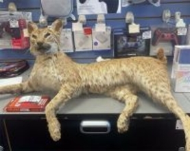 珍品8万点が殺到！米ゲーム店が開催した「何でも下取りの日」が話題に