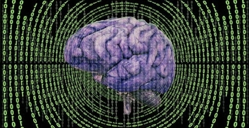 脳のルールが書き換わる：エピソード記憶の謎を解明。思い出と状況は別々に保存されていた