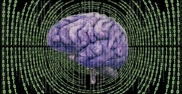 脳のルールが書き換わる：エピソード記憶の謎を解明。思い出と状況は別々に保存されていた