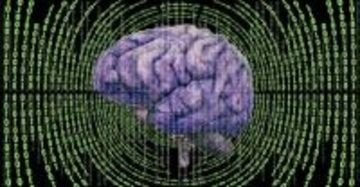 脳のルールが書き換わる：エピソード記憶の謎を解明。思い出と状況は別々に保存されていた