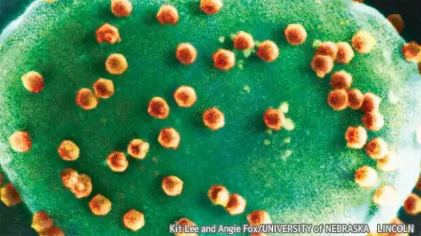 史上初、ウイルスだけを食べて繁殖する生命体が発見される