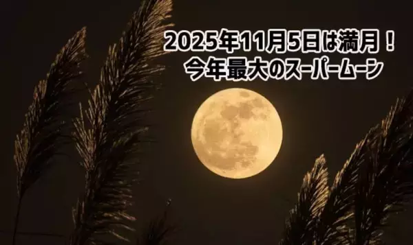 2025年11月5日は満月！今年最大のスーパームーン