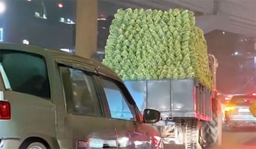 積み木細工のカリフラワー。インドの独特な運搬方法が話題に