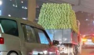 積み木細工のカリフラワー。インドの独特な運搬方法が話題に