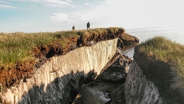 アラスカの永久凍土に眠っていた4万年前の古代生命を目覚めさせた科学者たち