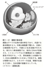 決して偶然ではない地球生命の始まり。生命の壮大なオデッセイ『生命の起源を問う』