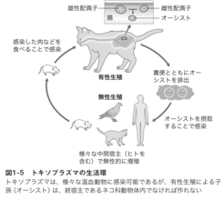 わたしの中に潜む無数の生命──最新研究でわかった驚くべき生物たちの姿