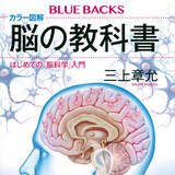 「「脳」は驚きに満ちている！　ニューロン、海馬など基本から最新研究まで」の画像1
